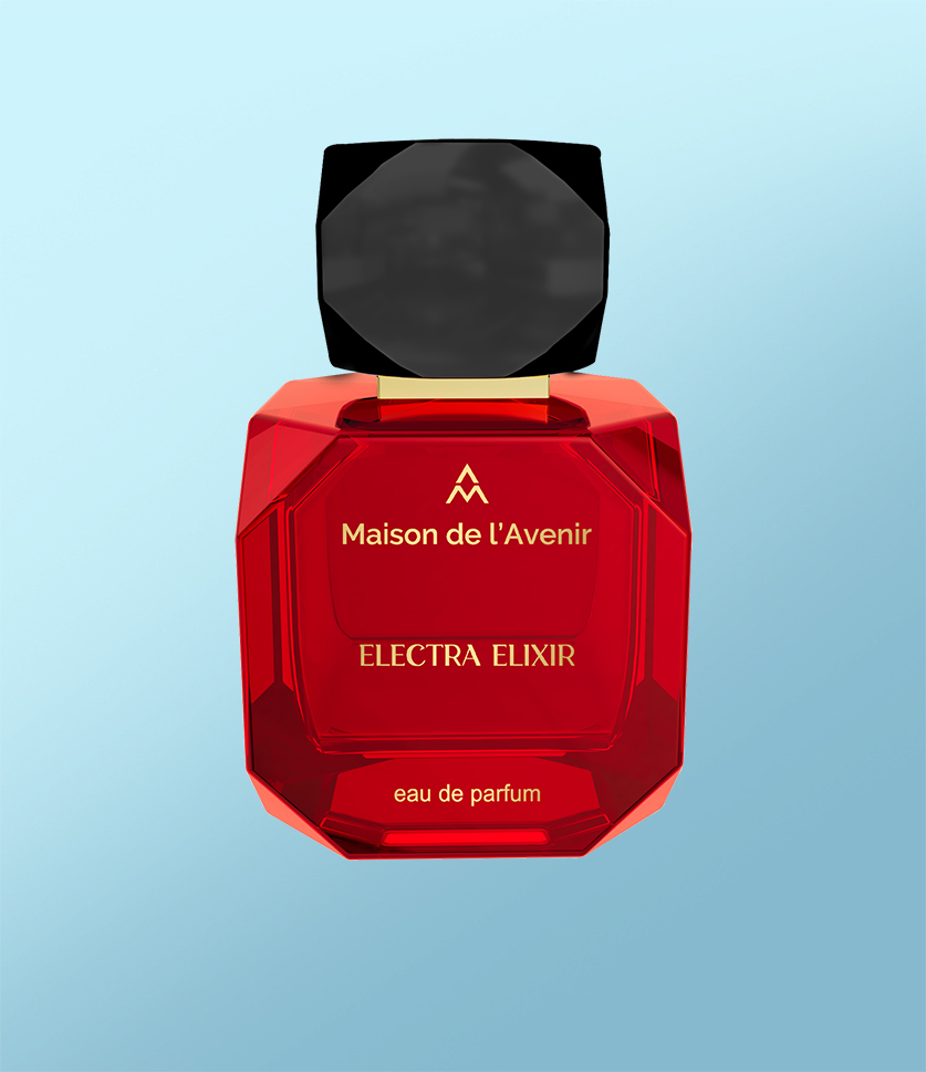 Maison de l'Avenir